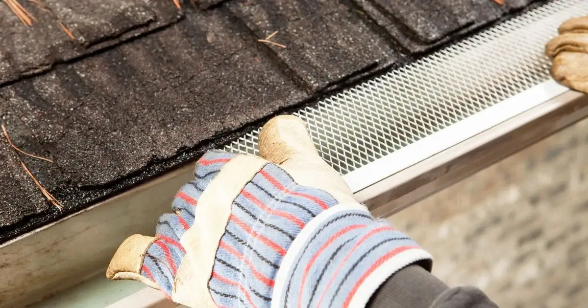 Installing metal gutter guard on shingle roof.